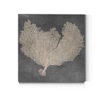 Renditions Gallery Square Canvas Wall Art: Neutral Coastal, Multicolor Nature, Modern Landscape Abstract Wall Art for Home & Office - Natural Sea Fan VI 24x24