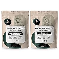 Fadogia Agrestis Powder for Men 50:1 313 Servings, Black Ant Extract 30:1 94 Servings 5oz, Traditional Mens Health Support for Drive & Passion