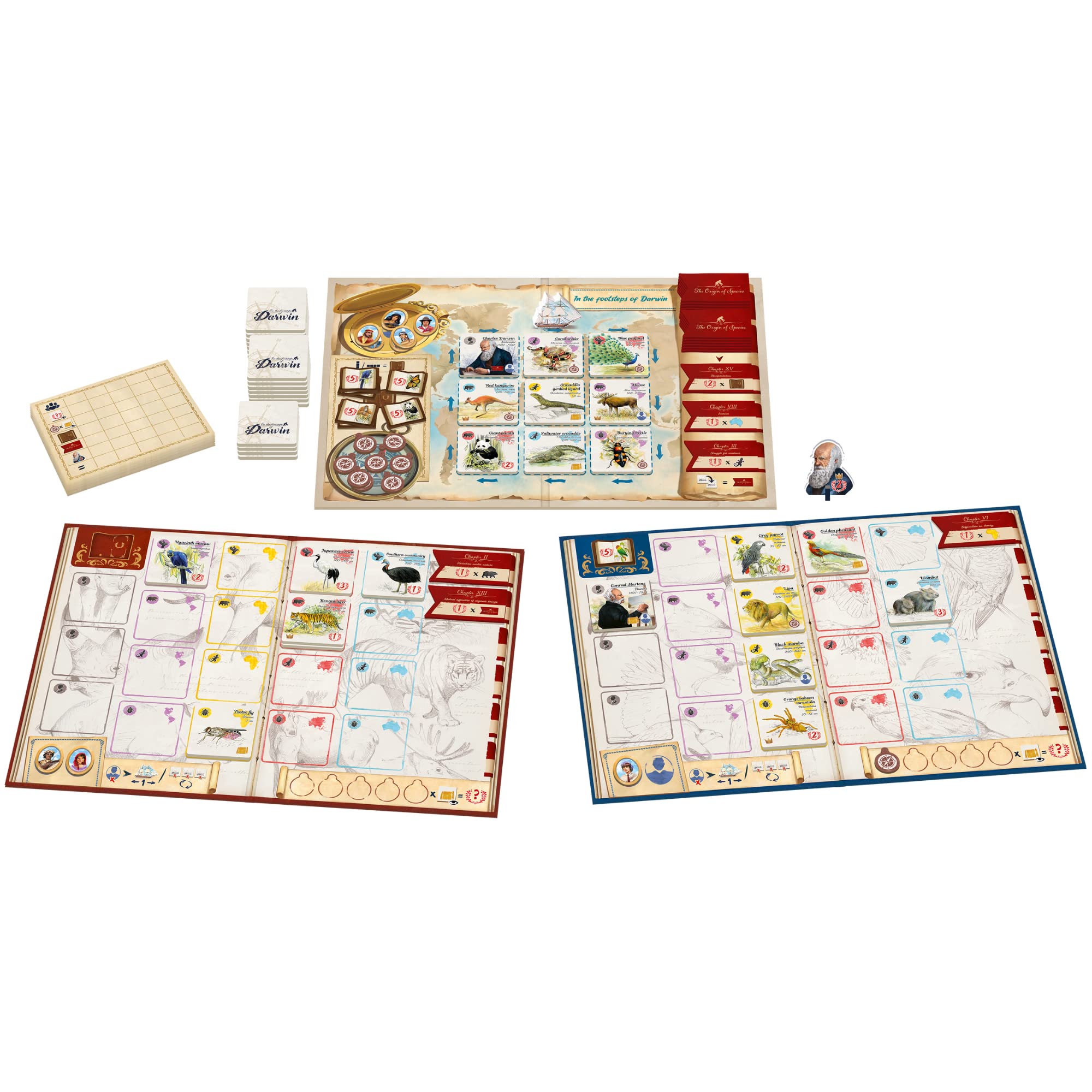 in The Footsteps of Darwin | Tile Laying Board Game | Ages 8+ | 2 to 5 Players | 30 Minutes