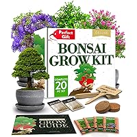 HOME GROWN Bonsai Tree Kit – Easy to Grow 4 Species of Bonsai w/Our Complete Plant Kit: Bonsai Pots & Peat Pellets Including a Bonus in-Depth Grow Guide | Great Gardening Gifts for Women and Men