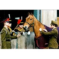 Vintage photo of Herpes Vaccine for Horses