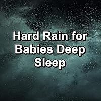 Gutter Rain To Help with Insomnia in the Evening Gutter Rain To Help with Insomnia in the Evening MP3 Music