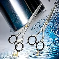 PROFESSIONAL HAIRDRESSING BARBER SCISSORS PAIR GERMAN STAINLESS STEEL MADE SHEARS WITH POLISHED FINISH SIZE 6.5
