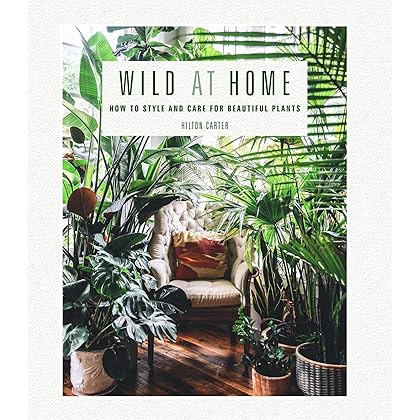 Wild at Home: How to style and care for beautiful plants