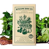 Egyptian Spinach Seeds - Molokhia - 2 g Packet ~1000 Seeds - Non-GMO, Heirloom - Asian Garden Vegetable