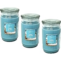 Mainstays 20oz Scented Candles 3-Pack (Salted Sea Spray)