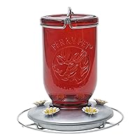 Perky-Pet 786-1SR Mason Jar Vintage Glass Hummingbird Feeder - Outdoor Garden Décor - 32-oz