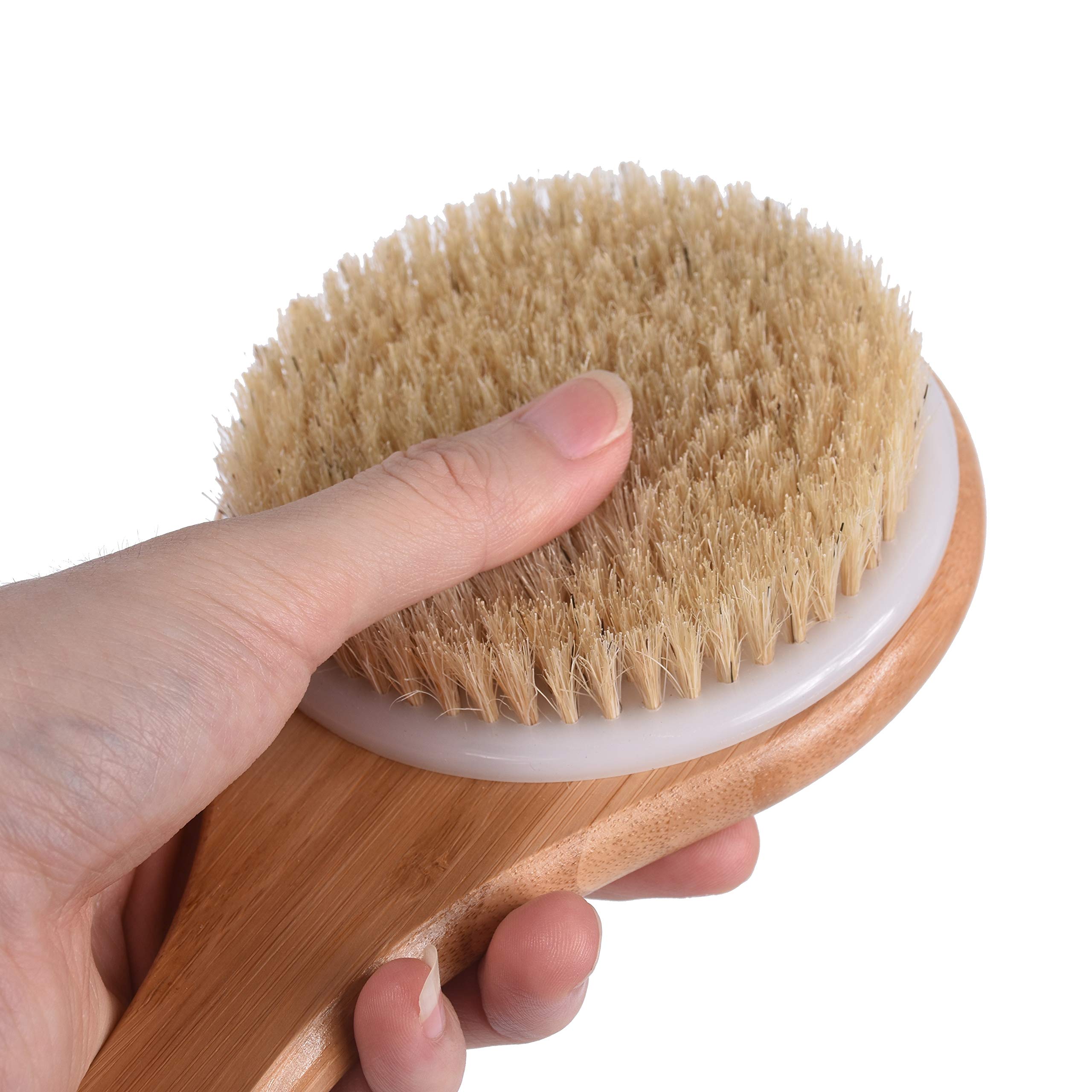 Chikoni Dry Bath Body Brush Back Scrubber with Anti-Slip Long Wooden Handle, 100% Natural Bristles Body Massager, Perfect for Exfoliating, Detox and Cellulite, Blood Circulation, Good for Health