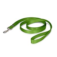 PetSafe Nylon Dog Leash - Strong, Durable, Traditional Style Leash with Easy to Use Bolt Snap - 1 in. x 6 ft., Apple Green