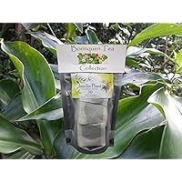 Insulin Plant (Costus Pictus) 30 Tea Sevings