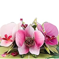 Pop Up Orchid Flower Mother Day Card- 3D Cards For Birthday, Anniversary, Thank You Cards, Card for Mom, Congratulation Card, Love Card, All Occasion