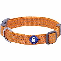 Blueberry Pet Essentials Matching Small Dog Collar | Adjustable Classic Solid Color Nylon Dog Collars for Small Dogs | Reflective Apricot Dog Collar for Small Dogs