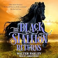 The Black Stallion Returns The Black Stallion Returns Paperback Audible Audiobook Kindle Hardcover Mass Market Paperback Audio CD