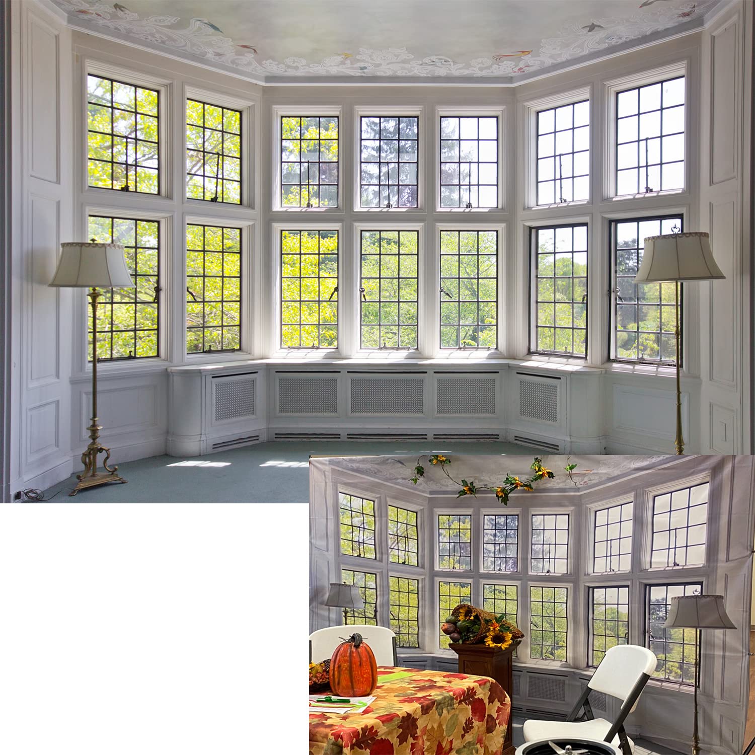 Mua BELECO 10x6.5ft Fabric Window Backdrop Classic Interior French ...