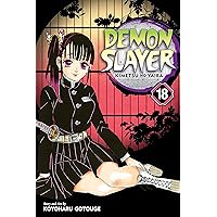 Demon Slayer: Kimetsu no Yaiba, Vol. 18: Assaulted By Memories