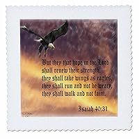 3dRose qs_27419_5 Isaiah 40-31 Bible Verse with Eagle Against a Troubled Sky-Quilt Square, 14 by 14-Inch