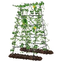 3' x 6' Trellis for Climbing Plants Outdoor, A-Frame Garden Trellis for Raised Garden Grow Support with Plant Support Clips,Grow Support for Cucumber,Tomato, Climbing Plants and Flowers