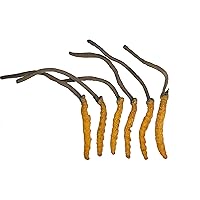 Wild Cordyceps, Whole Himalyan Cordyceps Sinensis Mushroom, Genuine and Very Rare, High Grade, Boost Energy, Reduce Stress for Men and Women, 3 Grams