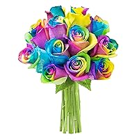 KaBloom PRIME NEXT DAY DELIVERY - Mother’s Day Collection- Bouquet of Fresh 12 Rainbow Roses .Gift for Birthday, Anniversary, Get Well, Thank You, Valentine, Mother’s Day Fresh Flowers