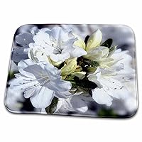 3dRose Cluster of White Azaleas with blur effect - Dish Drying Mats (ddm-182249-1)