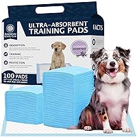 Kennel Club Scented Puppy Training Pads with Ultra Absorbent Quick Dry Gel – 22 x 22 Pee Pads For Dogs - Lavender Scented - Pack of 100