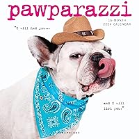 Graphique 2024 Pawparazzi Wall Calendar | 12” x 12” | Thick Paper | Home & Office Organizer | Large Monthly Grid | 3 Languages & Marked Holidays | 4 Month Preview Page for 2025