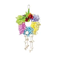 Prevue Hendryx 62603 Calypso Creations Ropes and Shell Ring Bird Toy