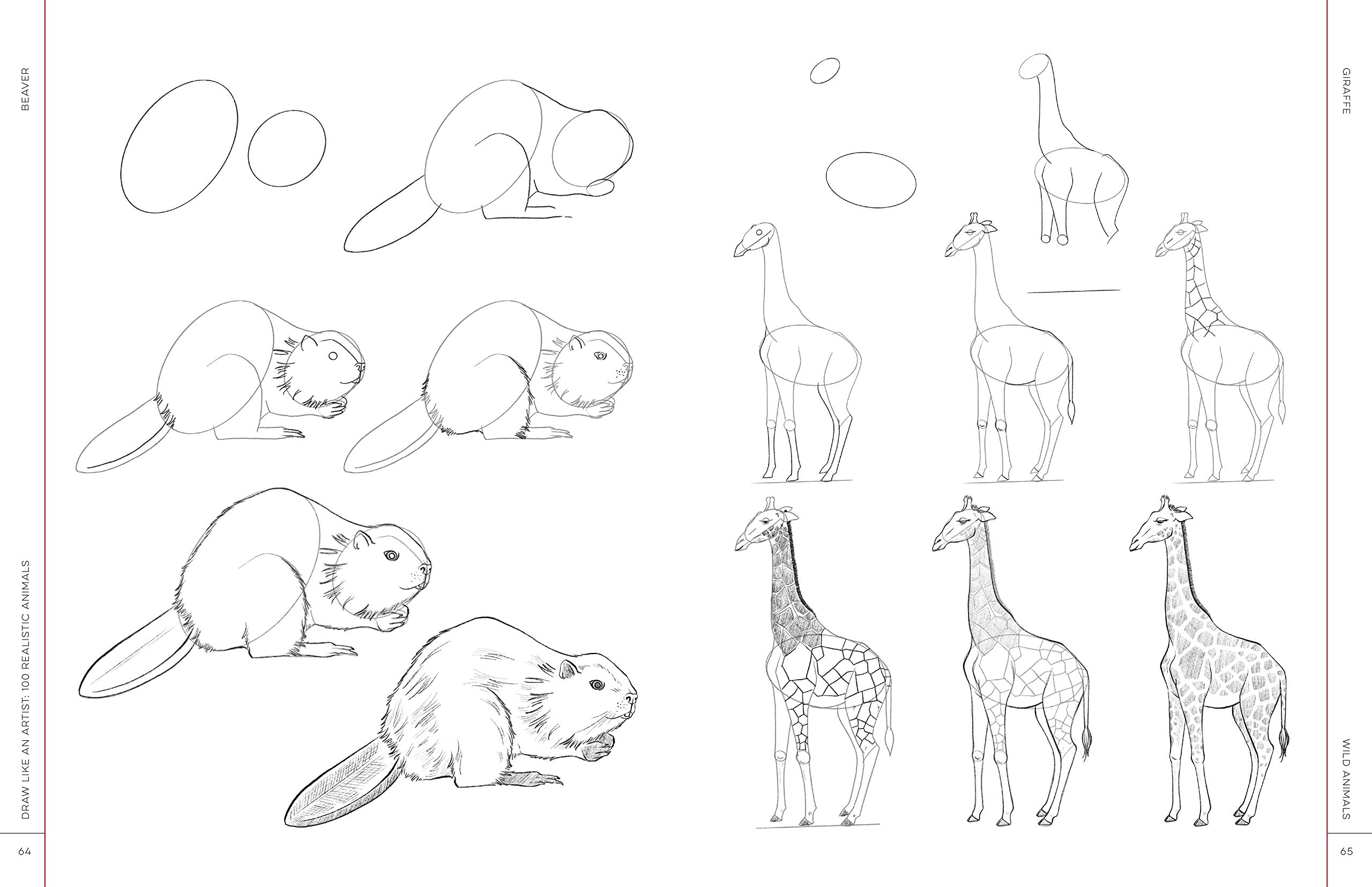 Doodle Animal Set Icon Isolated On White, Outline Kids Hand Drawing Art  Line Sticker, Sketch Pet, Giraffe, Hippo, Heron, Dog, Snake, Vector Stock  Illustrationch Illustration Royalty Free SVG, Cliparts, Vectors, and Stock