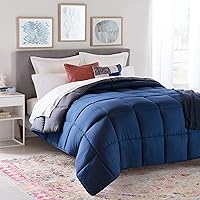 LINENSPA Reversible Down Alternative Comforter and Duvet Insert - All-Season Comforter - Box Stitched Comforter - Bedding for Kids, Teens, and Adults – Navy/Graphite - Oversized Queen