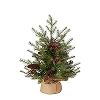 National Tree Company Pre-Lit 'Feel Real' Artificial Mini Christmas Tree, Green, Nordic Spruce, White Lights, Flocked with Pine Cones, Red Berries, Includes Burlap Bag Base, 3 Feet