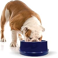 K&H Pet Products Coolin' Pet Bowl Cooling Dog Bowl Pet Water Dish for Large Medium Small Breed Dogs & Cats, Indoor/Outdoor Insulated Ice Cold Dog Bowl - Cooler Blue 96 Ounces