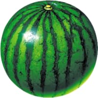 watermelon prober