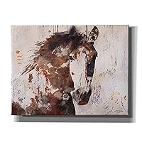 'Brown 2 Gorgeous Horse' by Irena Orlov, Canvas Wall Art, 34