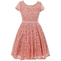 BNY Corner Cap Sleeve Floral Lace Glitter Pearl Holiday Party Flower Girl Dress