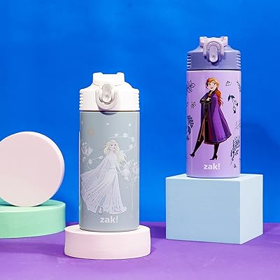 Zak Designs Disney Lilo & Stitch Movie Vacuum Insulated Thermal Kids Water Bottle 14 oz 18/8 Stainless Steel w/ FlipUp Straw Spout & Locking