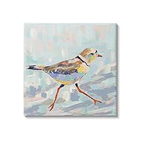 Stupell Industries Coastal Plover Abstract Bird Canvas Wall Art, Design by Jeanette Vertentes