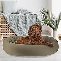 by Arlee Home & Pet Orbit Orthopedic Durable Chew Resistant Eco-Friendly Memory Foam Washable Cover Pet Bed for Large and Extra Large Dogs, Aloe