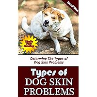 Types of Dog Skin Problems: Determine The Types of Dog Skin Problems
