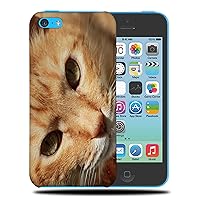 Adorable CAT Kitten Feline #56 Phone CASE Cover for Apple iPhone 5C