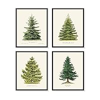 Goldie Days 4 Pine Tree Prints, 8