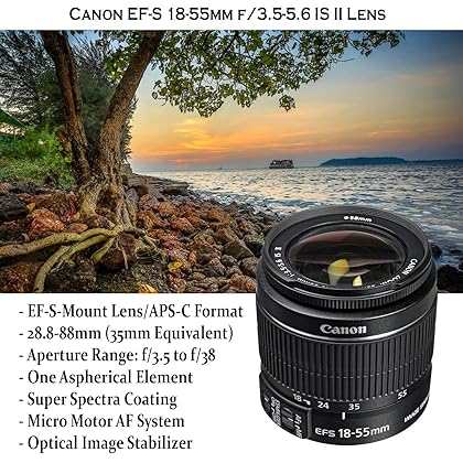 Canon EOS Rebel T7 DSLR Camera with 18-55mm is II Lens + Canon EF 75-300mm f/4-5.6 III Lens and 500mm Preset Lens + 32GB Memory + Filters + Monopod + Professional Bundle