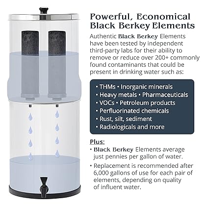 Berkey Authentic Black Berkey Elements BB9-2 Filters for Berkey Water Systems (Set of 2 Black Berkey Elements)