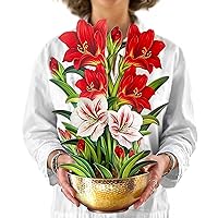 Freshcut Paper Pop Up Cards, Scarlet Amaryllis, 16 Inch Life Sized Forever Flower Bouquet 3D Popup Greeting Cards, Christmas Cards, Holiday Gift Cards with Note Card and Envelope