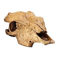 Terrarium Decor Buffalo Skull