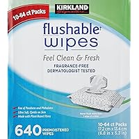Kirkland Signature Moist Flushable Enhanced Cleansing & Freshness Ultra Soft Hypoallergenic Plant-Based Wipes - 640 Count
