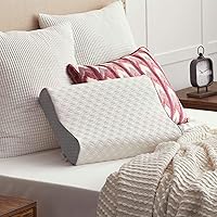 Memory Foam Contour Pillow, Standard, White