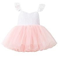 Flofallzique Summer Baby Girls Tulle Dress Floral Wedding Birthday Tea Party Special Occasion Infant Toddler Tutu
