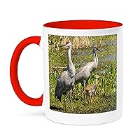 3dRose Florida sandhill crane adult with colt, Florida, USA - Mugs (mug-380826-5)