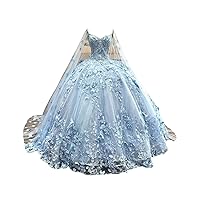 Cute 3D Butterfly on Lace Flower Embroidery Ball Gown Quinceanera Prom Dresses with Strap Sweet 16 Dress
