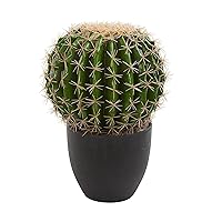 Nearly Natural Cactus Artificial Silk Plants, Green